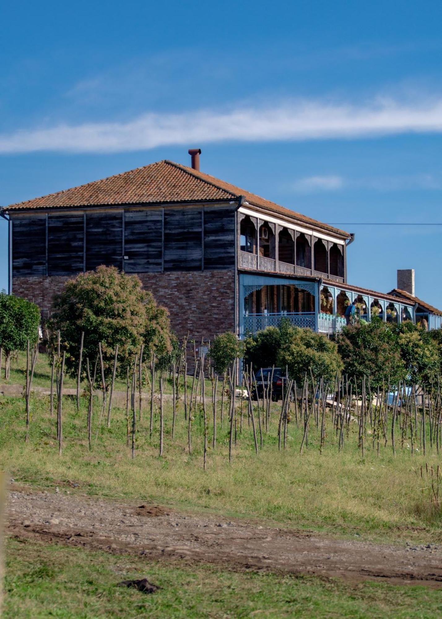Chateau Vartsikhe Exterior foto